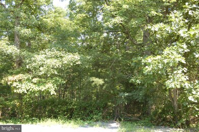 0 Lower View Rd unit 1000404865, Strasburg, VA 22657 - photo 3