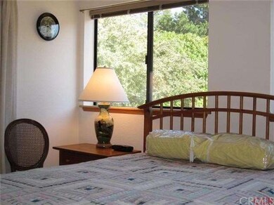 Lower level master bedroom.
