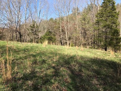 000 S Skeenah Rd, Franklin, NC 28734 - photo 2