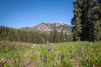1360 Red Mountain Ranch Upper Loop, Crested Butte, CO 81224 - photo 5