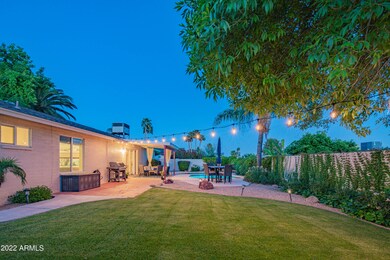 Backyard Oasis