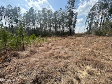 00 Jordan Hill Rd, Carson, MS 39427 - photo 3