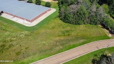 dji_fly_20240801_152308_666_172254379844