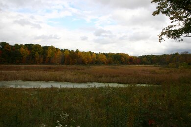 4605 E 800 N, Rolling Prairie, IN 46371 - photo 7