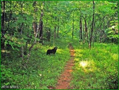 0 Old Foxville Rd unit 1002908400, Warrenton, VA 20186 - photo 7