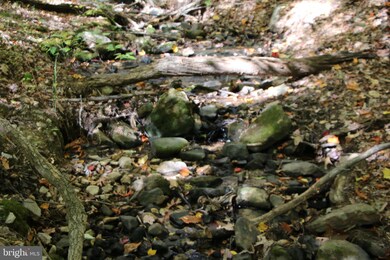 0 Back Rd unit VASH2007088, Toms Brook, VA 22660 - photo 7