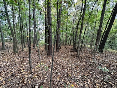 00 Villa Rica Highway 61, Dallas, GA 30157 - photo 2