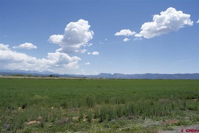 0 Road 23 5 unit 733919, Cortez, CO 81321 - photo 2