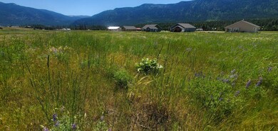 Lot 8 Lariat Loop, Thompson Falls, MT 59873 - photo 2