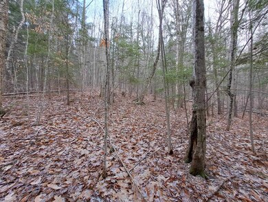 0 Holland Trail unit Lots 8 & 9 of Snowoo, Thornton, NH 03285 - photo 4