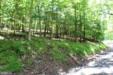 50 acs Skaggs Run & Paul Bean Rd, Baker, WV 26801 - photo 4