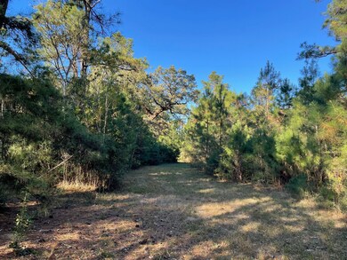 0000 Longbow St, Hockley, TX 77447 - photo 5