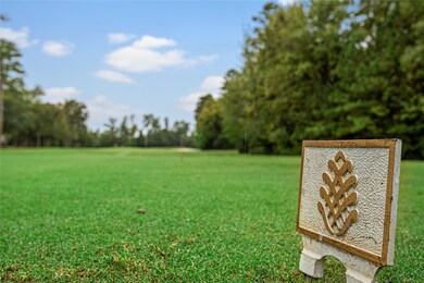 106 Millsap Cir, Spring, TX 77382 - photo 5