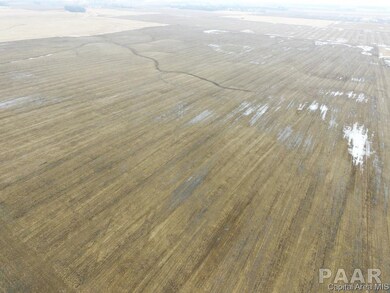 0 Thompson Rd, Virginia Township, IL 62691 - photo 5