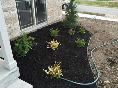 Nice Landscaping!