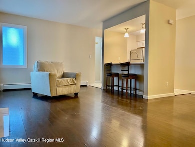 2 Tiger Maple Ln unit 3B, Saugerties, NY 12477 - photo 5