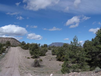 Lot 43 Morningstar Dr, Datil, NM 87821 - photo 4
