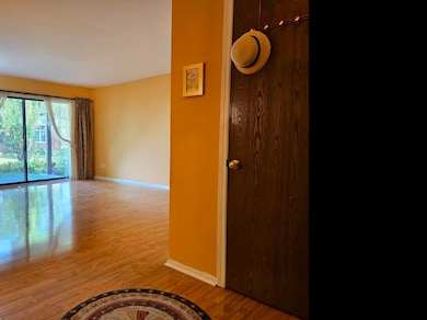 welcome to 230 Windsor