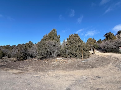 0 Ranch Dr Red Deer Trail unit 25-267270, Duck Creek Village, UT 84762 - photo 6