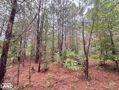 000 Pebble Cove Rd, Abbeville, AL 36310 - photo 5