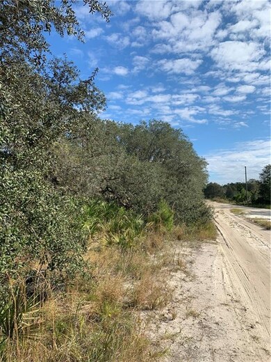 0 Brandywine Trail unit P4913691, Frostproof, FL 33843 - photo 3