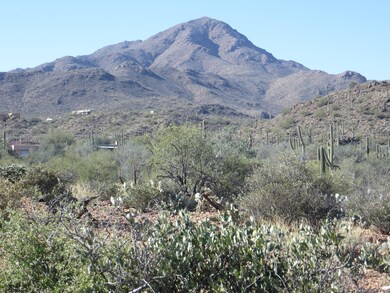 Wasson Peak View