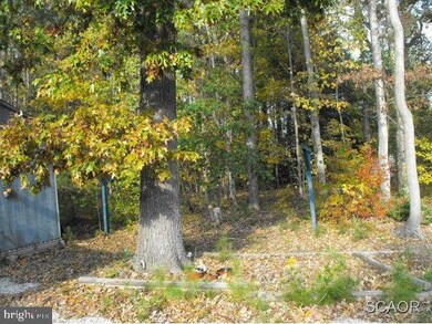 201 Long Neck Cir, Millsboro, DE 19966 - photo 4