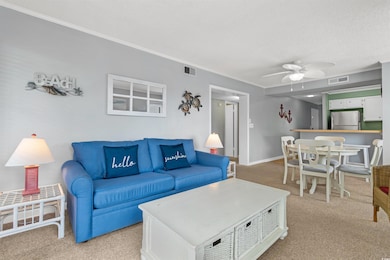 Carpeted living room with ceiling fan and a textur