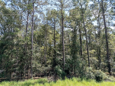 8.51-Lamar_WPA_Rd-101