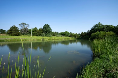 Pond 1
