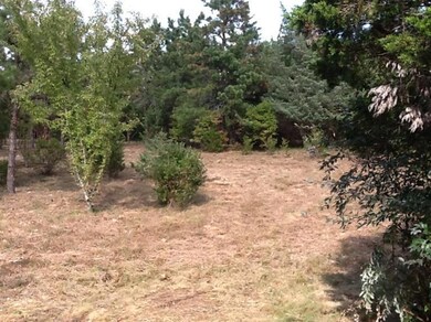 22 Scotchmans Ln, West Tisbury, MA 02568 - photo 7