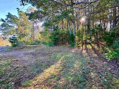 TBD Shelor Rd, Meadows of Dan, VA 24120 - photo 5