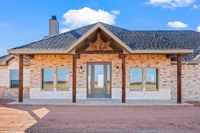 4401 E County Road 7900, Slaton, TX 79364 - photo 3