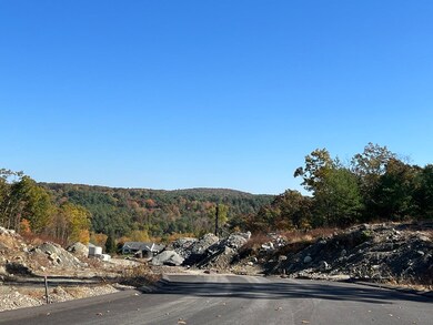 Lot 79 Balsam Hill Rd, Ludlow, MA 01056 - photo 6