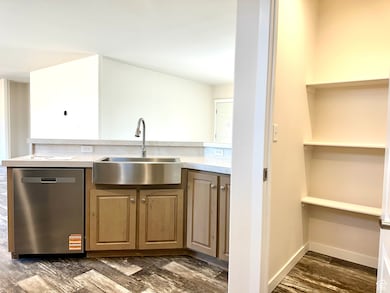 Large Pantry for extra storage