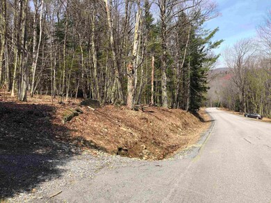 5 Branch Hill Rd unit 5, Readsboro, VT 05350 - photo 2