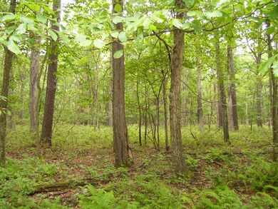 Lot 149 Mountain Top Rd, Lackawaxen Township, PA 18435 - photo 3