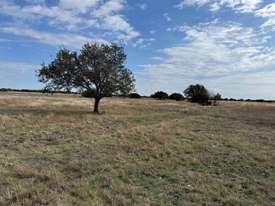 126 Acres County 204 Rd, Burnet, TX 78611 - photo 2