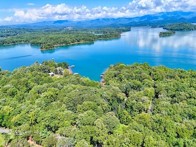 2204 Cedar Cliff Rd, Hiawassee, GA 30546 - photo 2