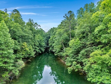 LOT 22 Grand Vista Pointe, Bremen, AL 35033 - photo 4