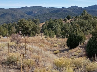 118 Porcupine Rd, Cotopaxi, CO 81223 - photo 3