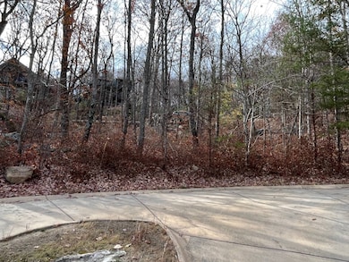 0 Eagle Creek Trail unit 13G, Rising Fawn, GA 30738 - photo 3