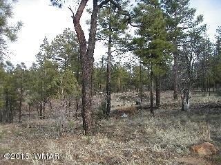 2014 Judy ranch Rd1