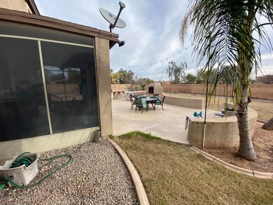 Backyard 2
