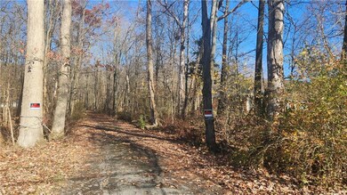 Long Driveway - half gravel half blacktop