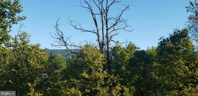 unlisted-address, Edinburg, VA 22824 - photo 2