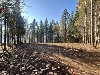 9562 Cook-Underwood Rd, Underwood, WA 98651 - photo 5