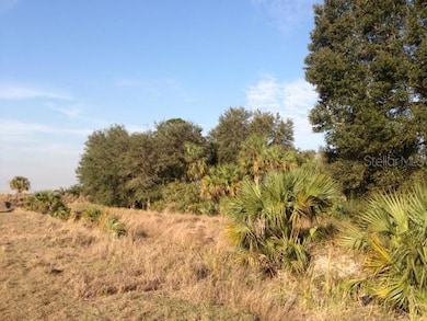 View of ditch line on west side of property.