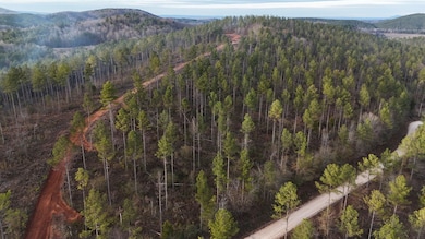 08 County Road 176, Piedmont, AL 36272 - photo 3