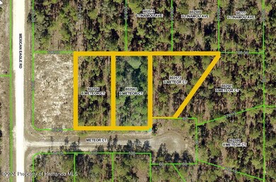 0 unit 2250037, Weeki Wachee, FL 34614 - photo 2